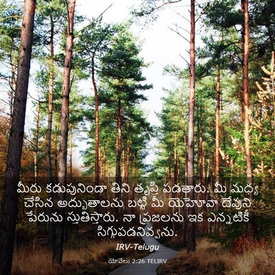 Picture 03 - యోవేలు 2:26 TELIRV - మీరు కడుపునిండా - Bible Verse Picture