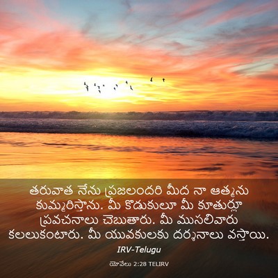 Picture 03 - యోవేలు 2:28 TELIRV - తరువాత నేను - Bible Verse Picture