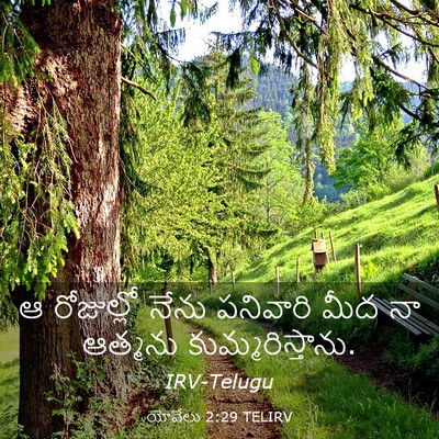 Picture 03 - యోవేలు 2:29 TELIRV - ఆ రోజుల్లో నేను - Bible Verse Picture
