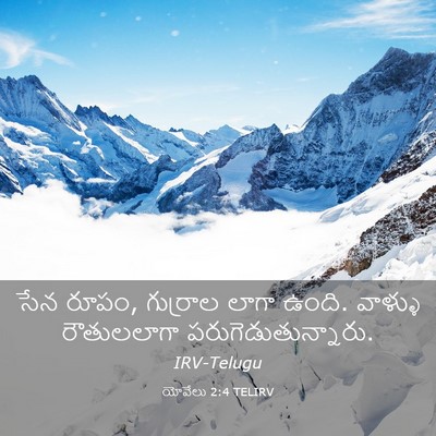 Picture 03 - యోవేలు 2:4 TELIRV - సేన రూపం, గుర్రాల - Bible Verse Picture