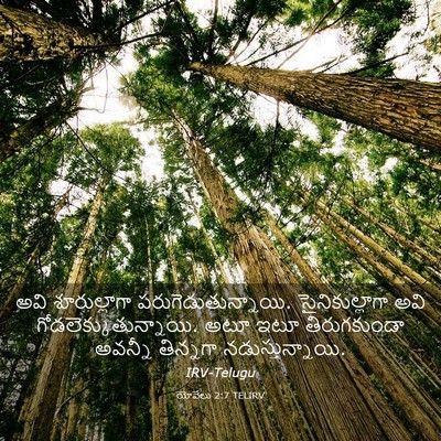 Picture 03 - యోవేలు 2:7 TELIRV - అవి శూరుల్లాగా - Bible Verse Picture