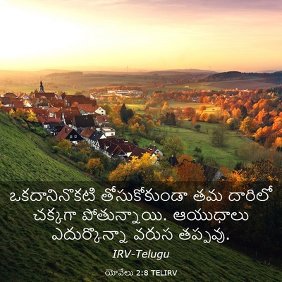 Picture 03 - యోవేలు 2:8 TELIRV - ఒకదానినొకటి - Bible Verse Picture
