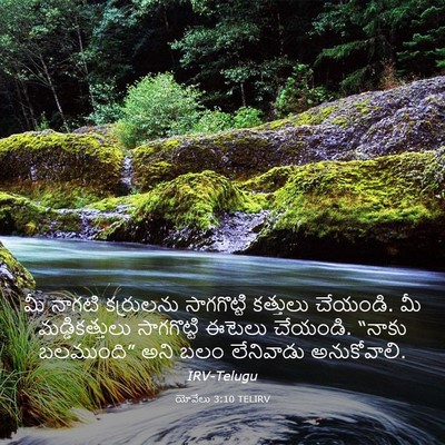 Picture 03 - యోవేలు 3:10 TELIRV - మీ నాగటి కర్రులను - Bible Verse Picture