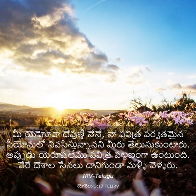 Picture 03 - యోవేలు 3:17 TELIRV - మీ యెహోవా - Bible Verse Picture