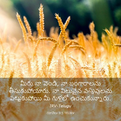 Picture 03 - యోవేలు 3:5 TELIRV - మీరు నా వెండి, నా - Bible Verse Picture