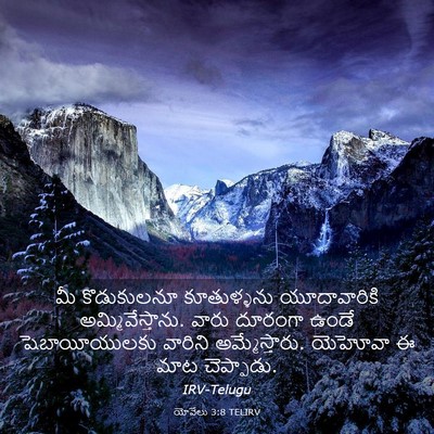 Picture 03 - యోవేలు 3:8 TELIRV - మీ కొడుకులనూ - Bible Verse Picture