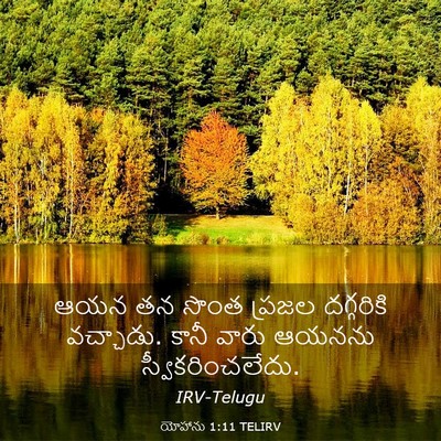 Picture 03 - యోహాను 1:11 TELIRV - ఆయన తన సొంత ప్రజల - Bible Verse Picture