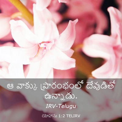 Picture 03 - యోహాను 1:2 TELIRV - ఆ వాక్కు - Bible Verse Picture