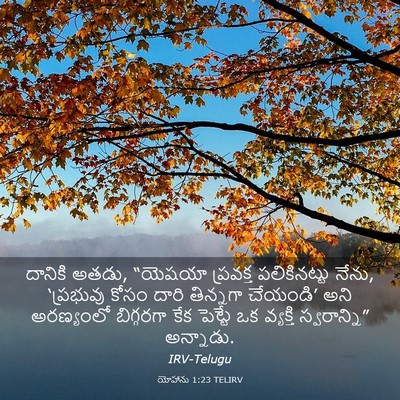 Picture 03 - యోహాను 1:23 TELIRV - దానికి అతడు, - Bible Verse Picture