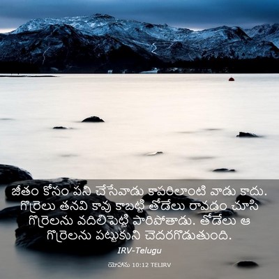Picture 03 - యోహాను 10:12 TELIRV - జీతం కోసం పని - Bible Verse Picture