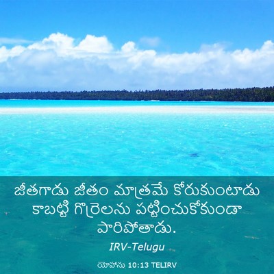Picture 03 - యోహాను 10:13 TELIRV - జీతగాడు జీతం - Bible Verse Picture