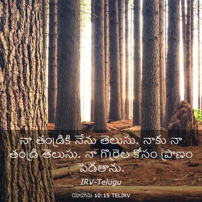 Picture 03 - యోహాను 10:15 TELIRV - నా తండ్రికి నేను - Bible Verse Picture