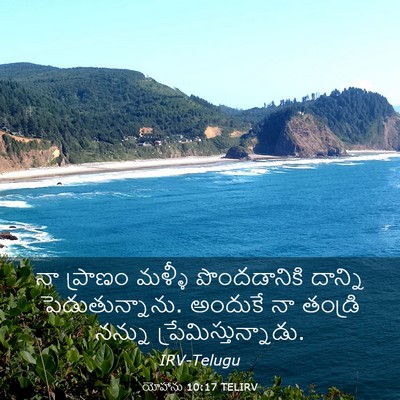 Picture 03 - యోహాను 10:17 TELIRV - నా ప్రాణం మళ్ళీ - Bible Verse Picture