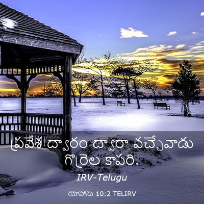 Picture 03 - యోహాను 10:2 TELIRV - ప్రవేశ ద్వారం - Bible Verse Picture