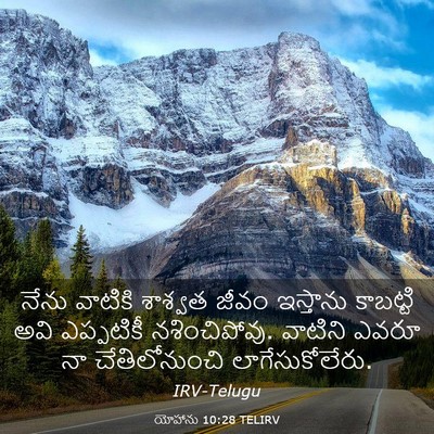 Picture 03 - యోహాను 10:28 TELIRV - నేను వాటికి - Bible Verse Picture