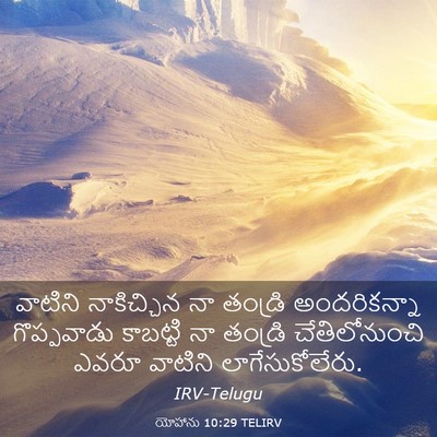 Picture 03 - యోహాను 10:29 TELIRV - వాటిని నాకిచ్చిన - Bible Verse Picture