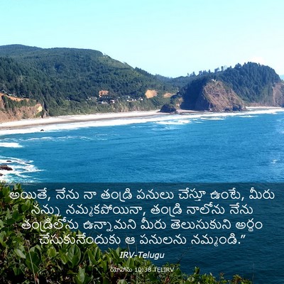 Picture 03 - యోహాను 10:38 TELIRV - అయితే, నేను నా - Bible Verse Picture