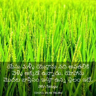 Picture 03 - యోహాను 10:40 TELIRV - యేసు మళ్ళీ - Bible Verse Picture