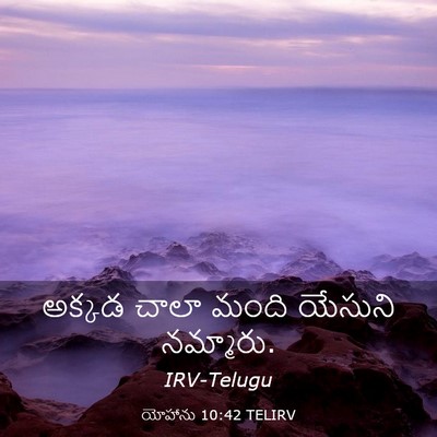 Picture 03 - యోహాను 10:42 TELIRV - అక్కడ చాలా మంది - Bible Verse Picture