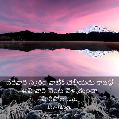 Picture 03 - యోహాను 10:5 TELIRV - వేరేవారి స్వరం - Bible Verse Picture