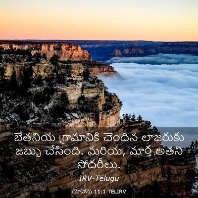 Picture 03 - యోహాను 11:1 TELIRV - బేతనియ గ్రామానికి - Bible Verse Picture