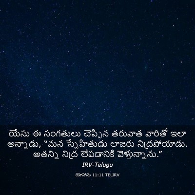 Picture 03 - యోహాను 11:11 TELIRV - యేసు ఈ సంగతులు - Bible Verse Picture