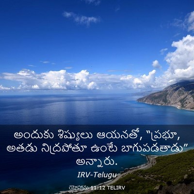 Picture 03 - యోహాను 11:12 TELIRV - అందుకు శిష్యులు - Bible Verse Picture