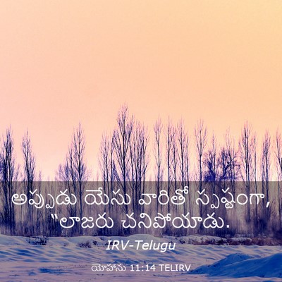 Picture 03 - యోహాను 11:14 TELIRV - అప్పుడు యేసు - Bible Verse Picture
