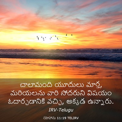 Picture 03 - యోహాను 11:19 TELIRV - చాలామంది యూదులు - Bible Verse Picture