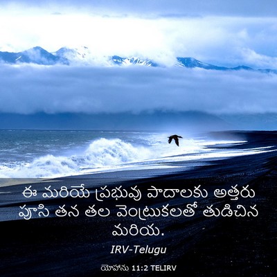 Picture 03 - యోహాను 11:2 TELIRV - ఈ మరియే ప్రభువు - Bible Verse Picture