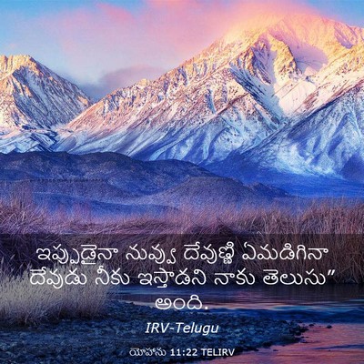 Picture 03 - యోహాను 11:22 TELIRV - ఇప్పుడైనా నువ్వు - Bible Verse Picture