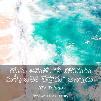 Picture 03 - యోహాను 11:23 TELIRV - యేసు ఆమెతో, “నీ - Bible Verse Picture