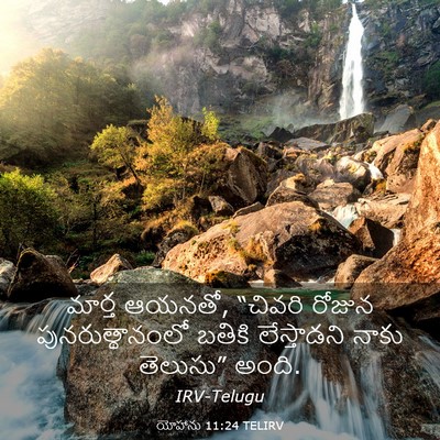 Picture 03 - యోహాను 11:24 TELIRV - మార్త ఆయనతో, - Bible Verse Picture