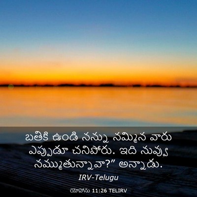 Picture 03 - యోహాను 11:26 TELIRV - బతికి ఉండి నన్ను - Bible Verse Picture