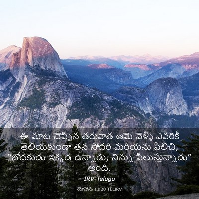 Picture 03 - యోహాను 11:28 TELIRV - ఈ మాట చెప్పిన - Bible Verse Picture