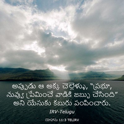 Picture 03 - యోహాను 11:3 TELIRV - అప్పుడు ఆ అక్క - Bible Verse Picture