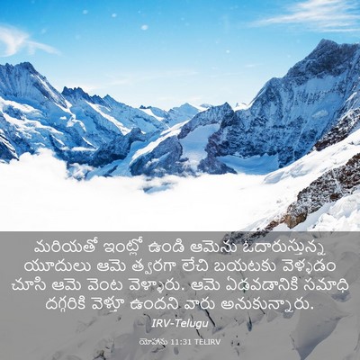 Picture 03 - యోహాను 11:31 TELIRV - మరియతో ఇంట్లో - Bible Verse Picture