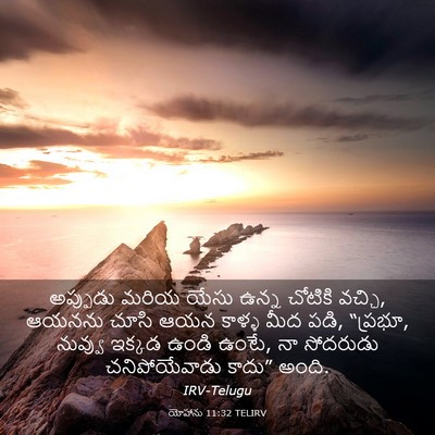 Picture 03 - యోహాను 11:32 TELIRV - అప్పుడు మరియ యేసు - Bible Verse Picture
