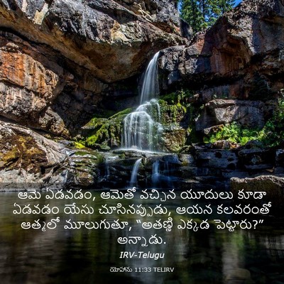Picture 03 - యోహాను 11:33 TELIRV - ఆమె ఏడవడం, ఆమెతో - Bible Verse Picture