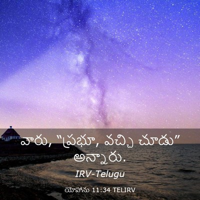 Picture 03 - యోహాను 11:34 TELIRV - వారు, “ప్రభూ, వచ్చి - Bible Verse Picture