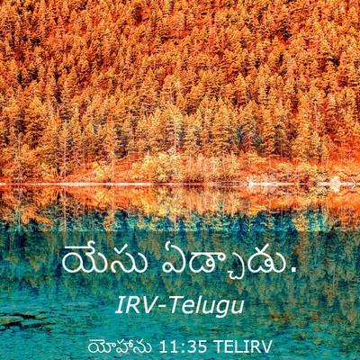Picture 03 - యోహాను 11:35 TELIRV - యేసు - Bible Verse Picture