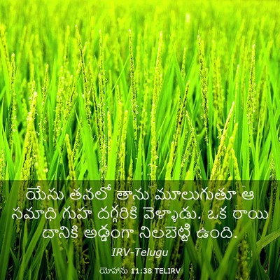 Picture 03 - యోహాను 11:38 TELIRV - యేసు తనలో తాను - Bible Verse Picture