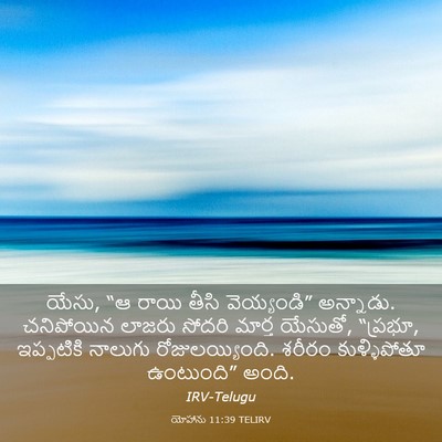 Picture 03 - యోహాను 11:39 TELIRV - యేసు, “ఆ రాయి తీసి - Bible Verse Picture