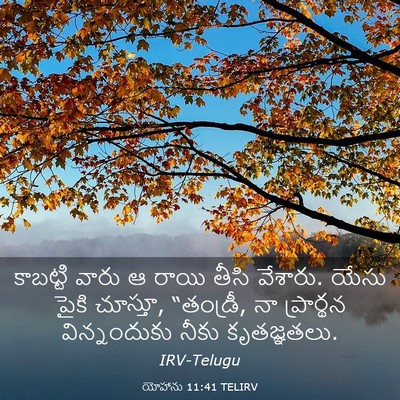 Picture 03 - యోహాను 11:41 TELIRV - కాబట్టి వారు ఆ - Bible Verse Picture