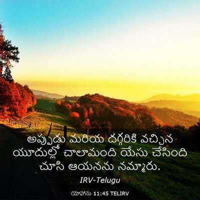 Picture 03 - యోహాను 11:45 TELIRV - అప్పుడు మరియ - Bible Verse Picture