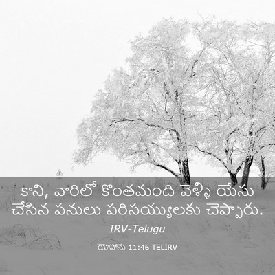 Picture 03 - యోహాను 11:46 TELIRV - కాని, వారిలో - Bible Verse Picture