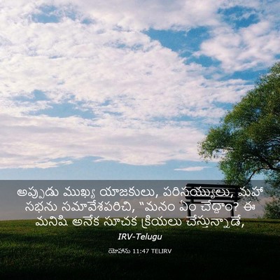Picture 03 - యోహాను 11:47 TELIRV - అప్పుడు ముఖ్య - Bible Verse Picture