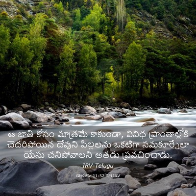 Picture 03 - యోహాను 11:52 TELIRV - ఆ జాతి కోసం - Bible Verse Picture