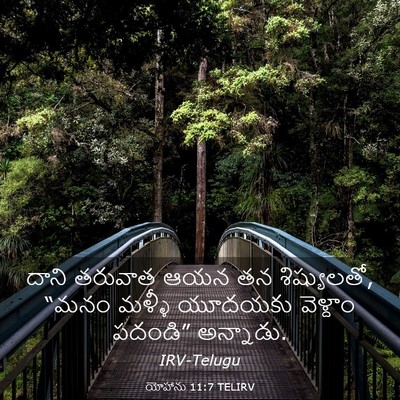 Picture 03 - యోహాను 11:7 TELIRV - దాని తరువాత ఆయన తన - Bible Verse Picture
