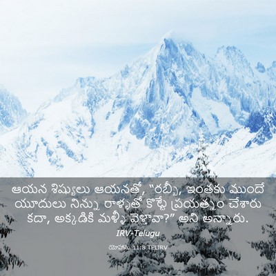Picture 03 - యోహాను 11:8 TELIRV - ఆయన శిష్యులు - Bible Verse Picture